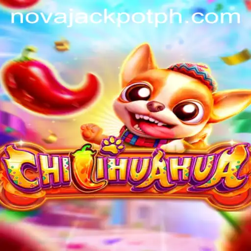 CHILIHUAHUA: The Excitement of the NovaJackpot